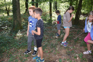 4. razred - Bili smo v gozdu